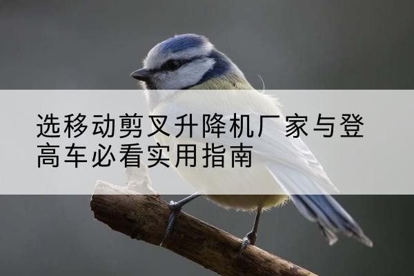 洛龙电动升降机厂家-选移动剪叉升降机厂家与登高车必看实用指南