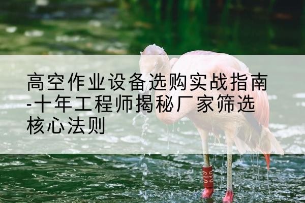 洛龙剪叉式升降机厂家-高空作业设备选购实战指南-十年工程师揭秘厂家筛选核心法则