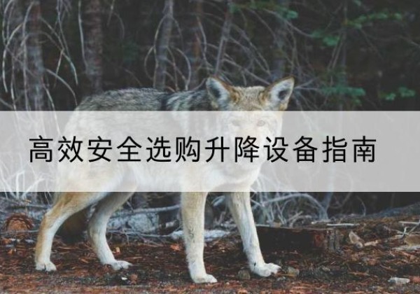 洛龙升降货梯厂家推荐-*安全选购升降设备指南
