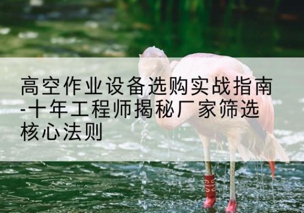 洛龙剪叉式升降机厂家-高空作业设备选购实战指南-十年工程师揭秘厂家筛选核心法则